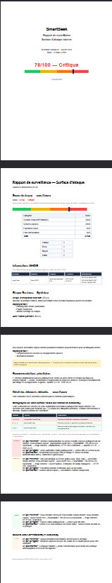 Exemple de rapport SmartSeek Scanner — surface d'attaque externe anonymisée